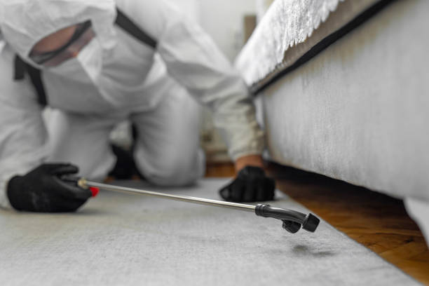 Professional Bed Bug Control technician working in Divernon, IL