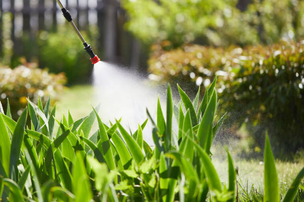 24/7 Emergency Bed Bug Control experts in Divernon, IL