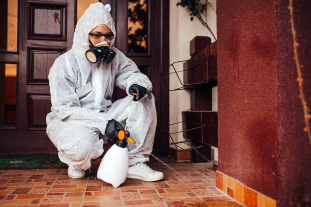 Reliable Bed Bug Control contractor in Divernon, IL by Nex Pest Control